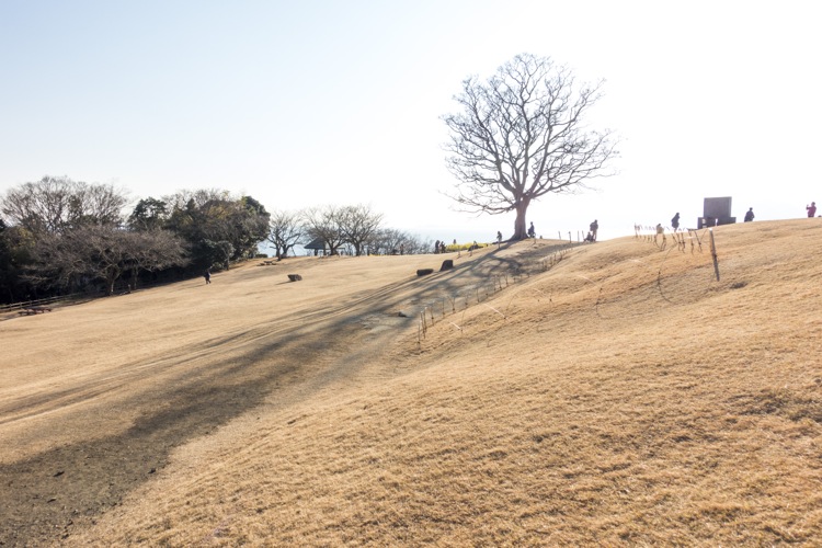  意外と知られていない景勝ポイント  神奈川県二宮町の吾妻山公園に行ってきた 国内旅行 